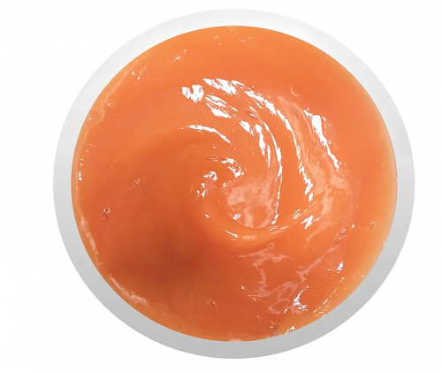 Pumpkin Enzyme Puree - Image 2